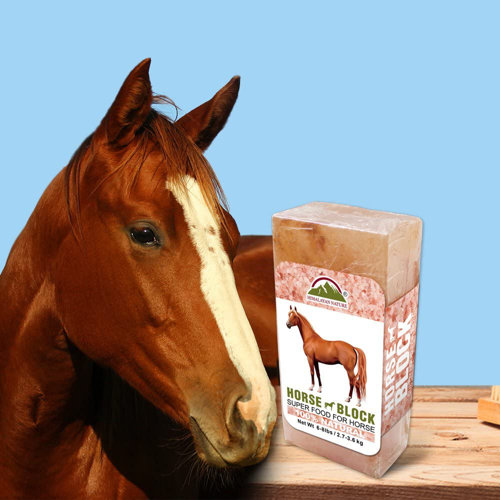 Himalayan Nature 100 Natural Himalayan Rock Salt Block, Horses & Deer 5 LBS Wayfair